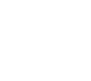 ADOTT-Solutins-brand-logo-white